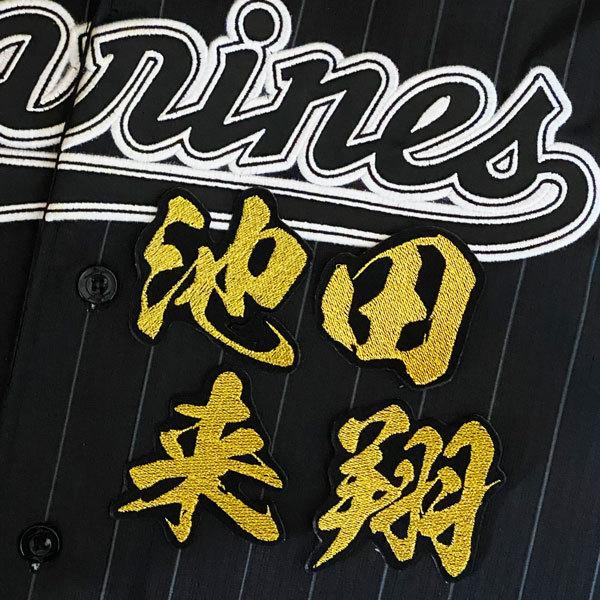 千葉ロッテマリーンズ 池田選手ユニフォーム 背番号00 Mサイズ 千葉