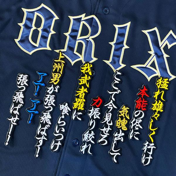 ☆送料無料☆オリックス バッファローズ 安達了一 応援歌 黒布 応援