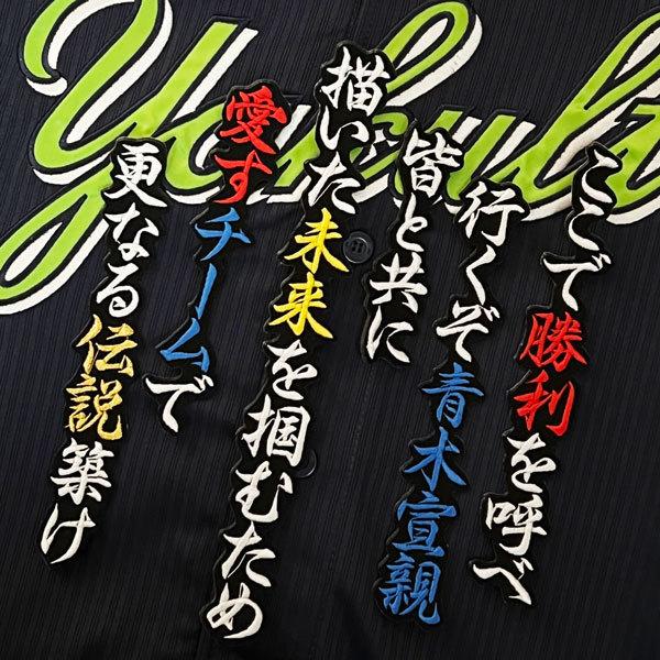 ☆送料無料☆東京 ヤクルト スワローズ 青木宣親 応援歌 黒 刺繍 ☆送料無料☆東京 ヤクルト スワローズ 青木宣親 応援歌 黒 刺繍