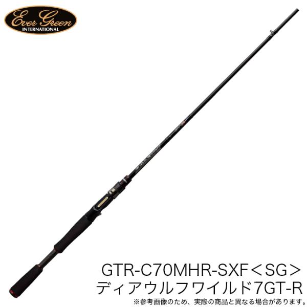 代引き決済不可】エバーグリーン カレイド インスピラーレ GTR-C70MHR