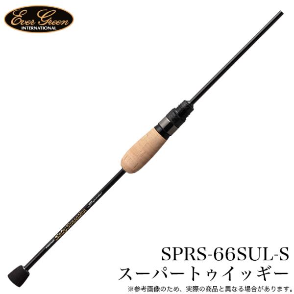 エバーグリーン ソルティーセンセーション スペリオル SPRS エバーグリーン ソルティーセンセーション スペリオル SPRS