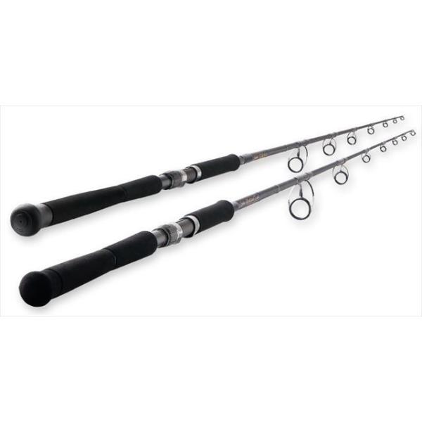 スパイク 取り寄せ商品 Sk802tn L C つり具のマルニシショップ 釣竿 ロッド 天龍 Tenryu 釣り Sk802tn L ツナ C