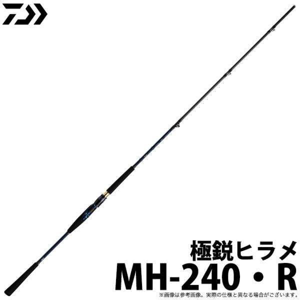 DAIWA(釣り) 【取り寄せ商品】ダイワ 極鋭ヒラメ (MH-240・R DAIWA(釣り) 【取り寄せ商品】ダイワ 極鋭ヒラメ (MH-240・R
