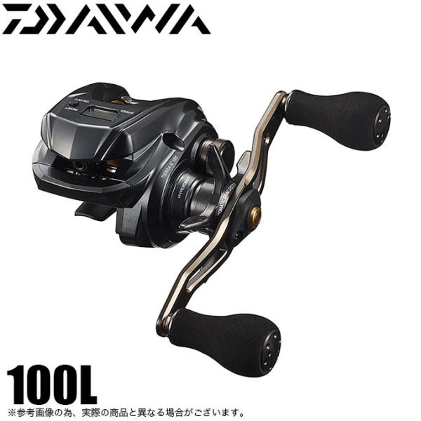 DAIWA(釣り) ダイワ 21 ティエラ IC 100L (左ハンドル) 2021年 DAIWA(釣り) ダイワ 21 ティエラ IC 100L (左ハンドル) 2021年