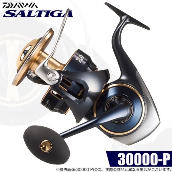 DAIWA（ダイワ） 【予約商品】ダイワ 25 ソルティガ 30000-P (2026年