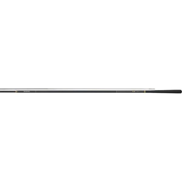 DAIWA（ダイワ） 【取り寄せ商品】ダイワ 波紋J 超硬21 (釣り竿