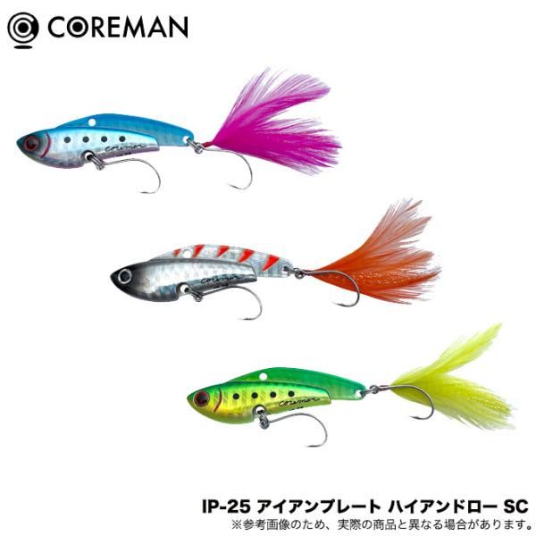 EverGreen（エバーグリーン） コアマン IP-25 アイアンプレート