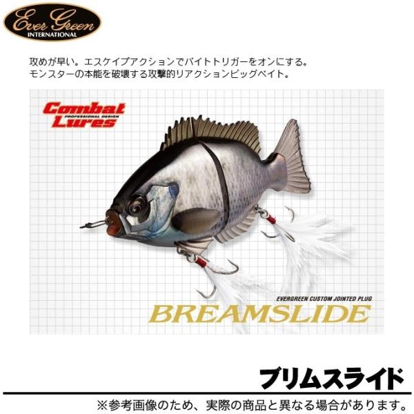 EverGreen（エバーグリーン） 【取り寄せ商品】 ブリムスライド