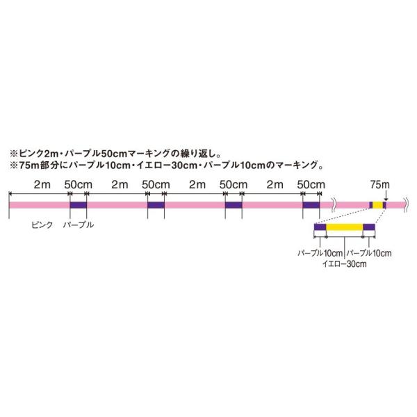 y񂹏iz[X ooX Aoj GMO v~APE X4 ~L[ 150M 0.6 (ށFGMOpC) /(c) y01z