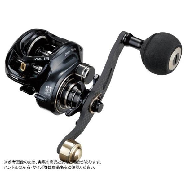 テイルウォークエランSWLIGHT73L 51M9KZ+83jL._AC_UF350,