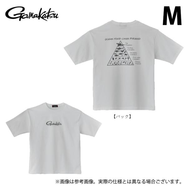 f-marunishi_4549018776454