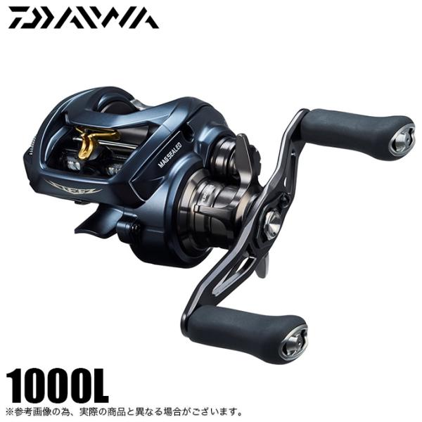 DAIWA（ダイワ） STEEZ (スティーズ) A II TW 1000L (左ハンドル) 2023