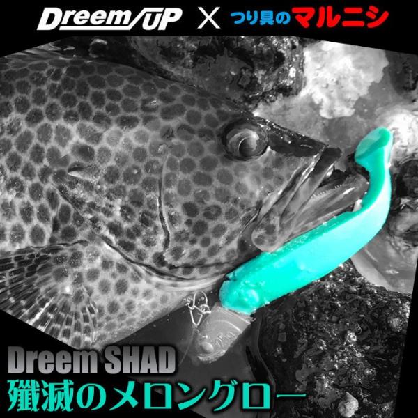つり具のマルニシ オリジナルカラー（中二病シリーズ）が登場！【Dreem UP ドリームシャッド】テールだけでなくボディーも揺らす「ブリブリアクション」でDreem upソルトワームの中で最大級の波動を生み出すワーム。ハンドポワードならでは...