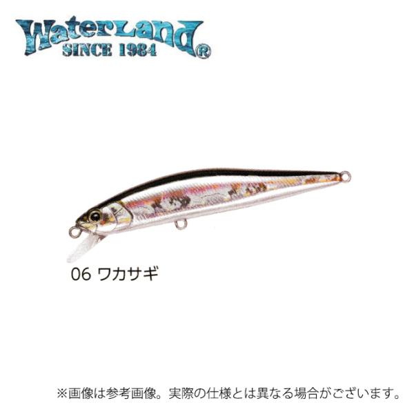 WaterLand（ウォーターランド） ジャークソニック100S (06 ワカサギ