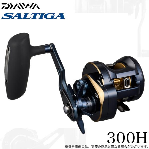 ダイワ 25 ソルティガ 35 右ハンドル (2025年モデル) DAIWA（釣り） ダイワ 25 ソルティガ 35 右ハンドル (2025年