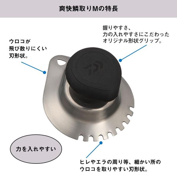 f-marunishiweb2nd_4550133656477_2_d_20260314143925