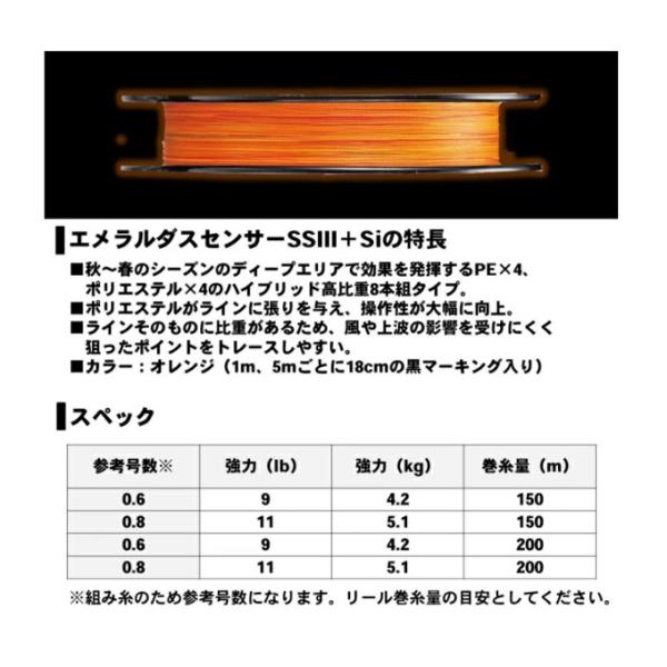 f-marunishiweb2nd_4960652279727_2_d_20250808173515