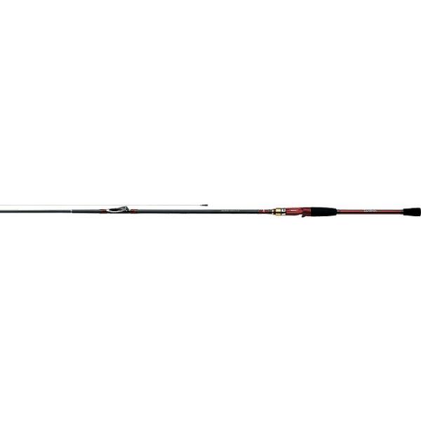 DAIWA（ダイワ） 【取り寄せ商品】ダイワ アナリスター 瀬戸内ILT 15