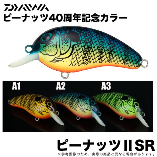 f-marunishiweb2nd_dw-p2sr