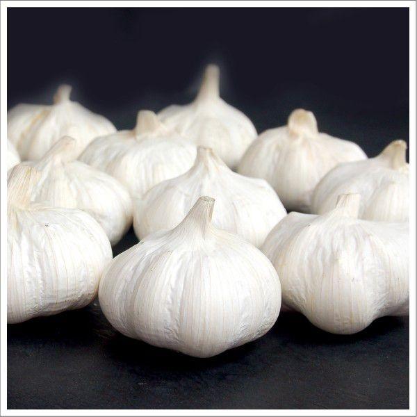 送料無料 年度産 業務用 九州産にんにく A級品 Mサイズ 10kg 国産ニンニク 送料込 Gar 001 美味しい食卓通販 ヤフー店 通販 Yahoo ショッピング