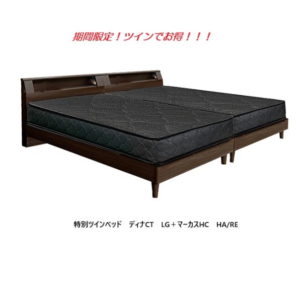 期間限定特別セット/開梱設置送料無料】 アンネルベッド ツインセット