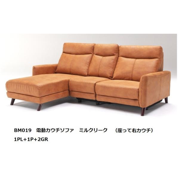 [Jݒu] BM019 dJE`\t@ 1PL+1P+2GRiĉEJE`jnF~N[N J[:J109WiLFj