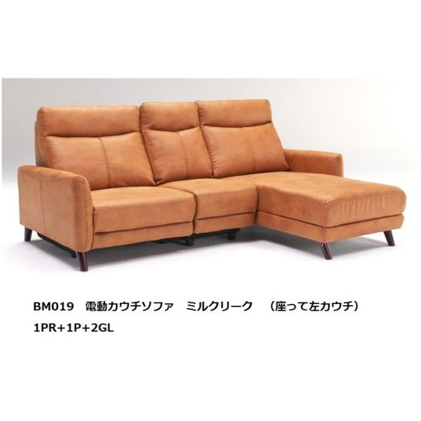 [Jݒu] BM019 dJE`\t@ 1PR+1P+2GLičJE`jnF~N[N J[:J109WiLFj