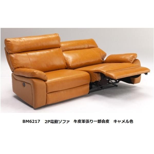 [Jݒu] BM6217 2Pd\t@ nFvꕔ J[F6FΉ