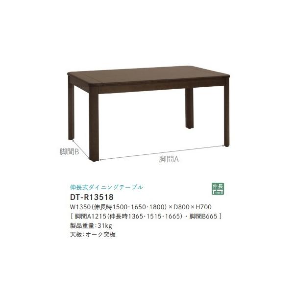 [ꂵr[TL] Co^CeA Rifactionit@NVjL_CjOe[u DT-R13518 I[N˔ 2FΉ i֑Ozj