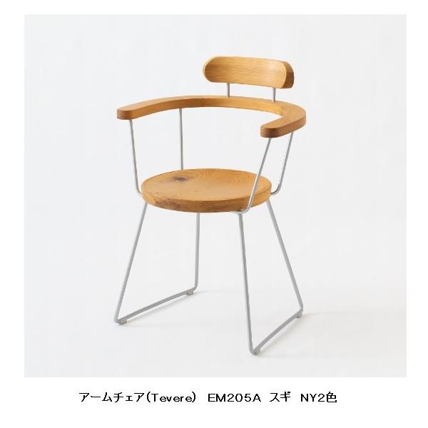 10Nۏ ˎY A[`FA (Tevere) EM205A 2FΉFNY2/BK XMވkڍށEߓ 󒍐Y [30`45 Jݒu