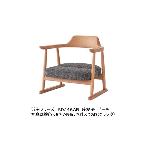 10Nۏ ˎY  ֎q (M[^Cv) SD245AB 24cm ށFr[` 󒍐Y [30`45  (֑Oz)