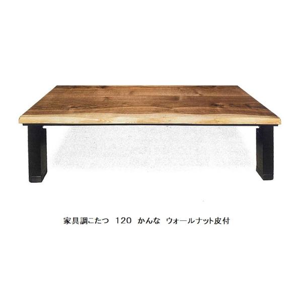 Ƌ PQO  QFΉFEH[ibg/TN ܂r E^dグA茳Rg[[t i֑Ozj