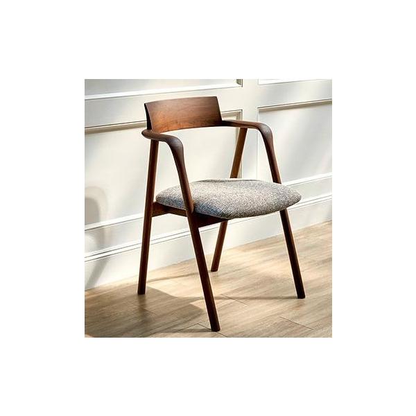 シラカワ [開梱設置送料無料・うれしいレビュー特典付・板座有] 飛騨