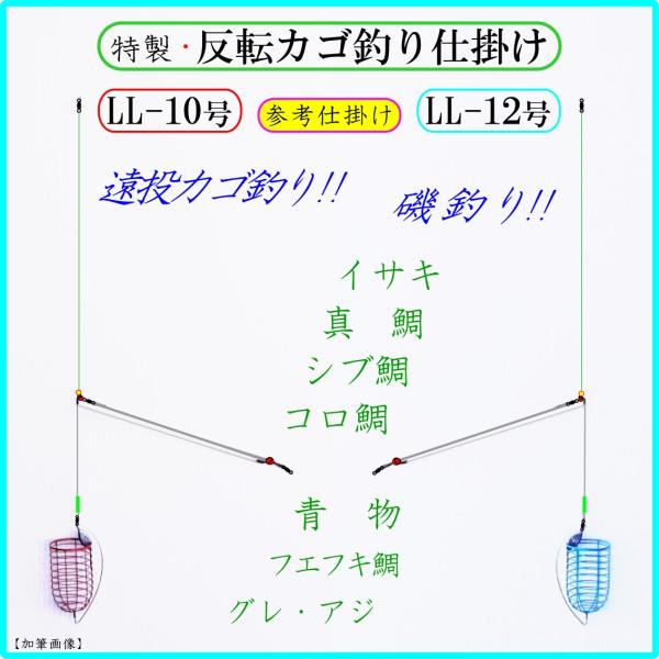 シモリ玉付クッションゴム 2p 遠投カゴ釣り 天秤 仕掛け 磯 防波堤 真鯛 イサキ シブ鯛 青物 グレ アジ Buyee Servis Zakupok Tretim Licom Buyee Pokupajte Iz Yaponii