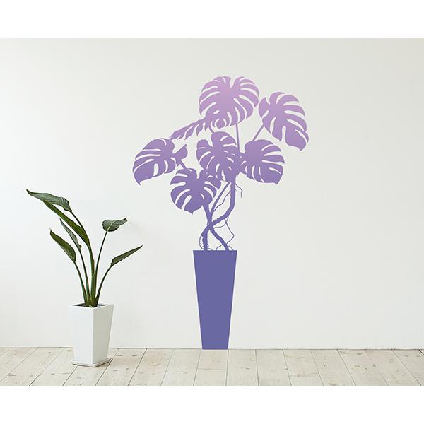 ]ʃ^Cv 唻  EH[XebJ[uXeFp[vvA ϗtA  { Ǐ B CeA Lb`