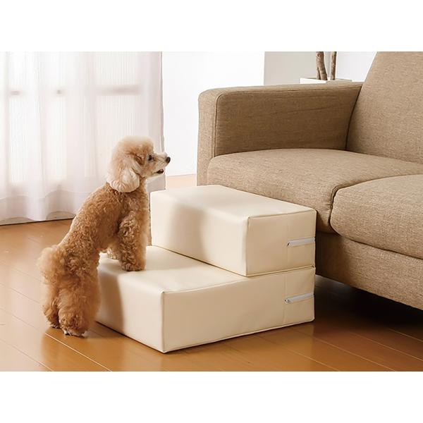 RہERPVCU[̃hbOXebvAC{[ [W e̓E^gp