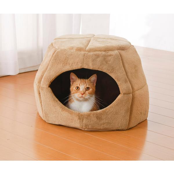 2WAY ybgxbh  L  LbgnEX ybgpNbV ybgnEX NbVV[gt