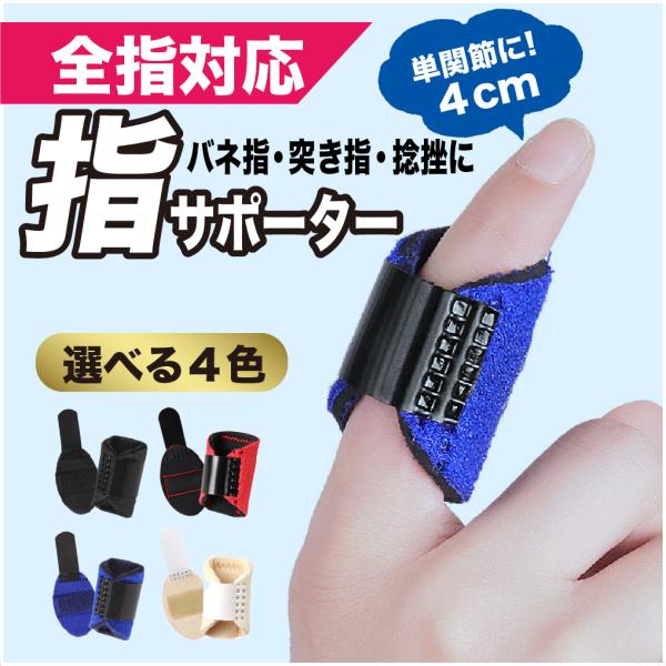 f301k_ci0004_2_d_20231220093250