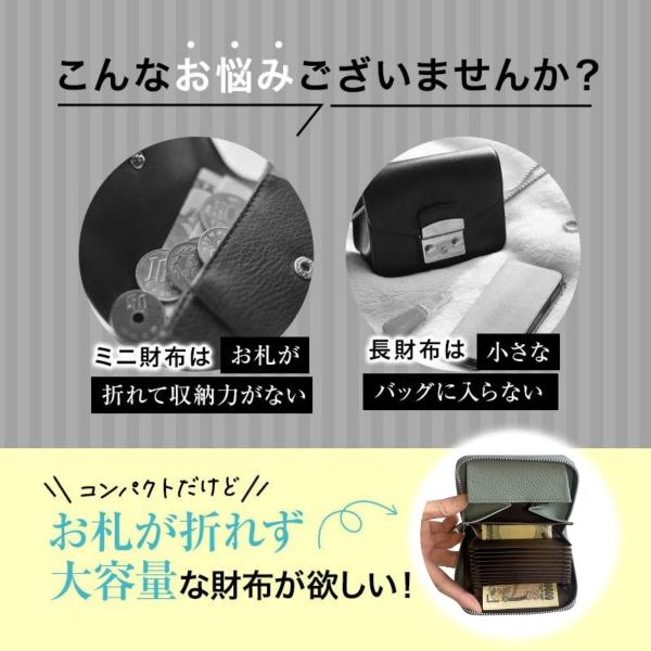 f301k_ci0006_3_d_20241212114906