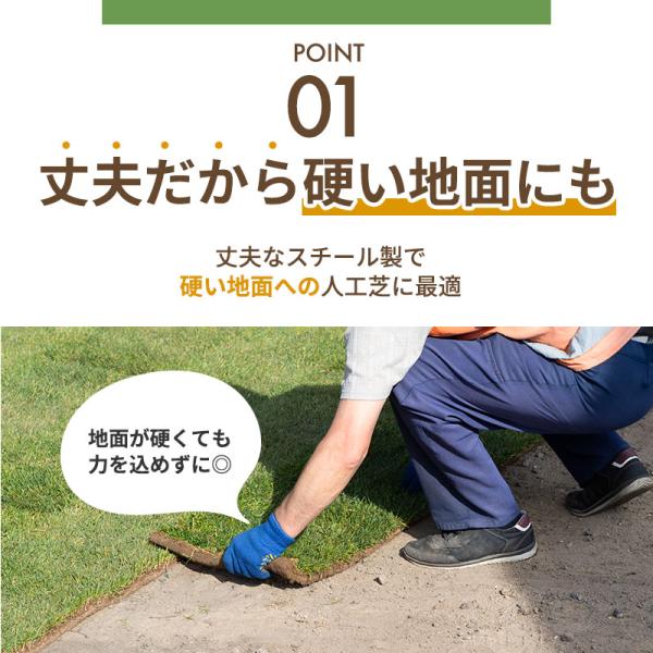 f301k_ci0013_3_d_20240105175056