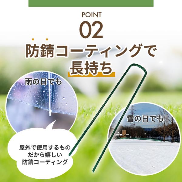 f301k_ci0013_4_d_20240105175102