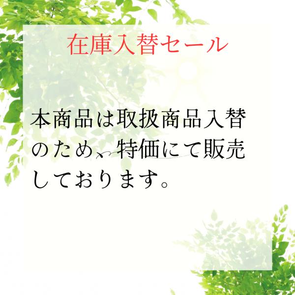 f301k_ci0022_1_d_20250726220918