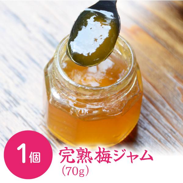 完熟　梅 サントリー梅酒〈山崎蒸溜所貯蔵梅酒ブレンド〉至福の完熟梅