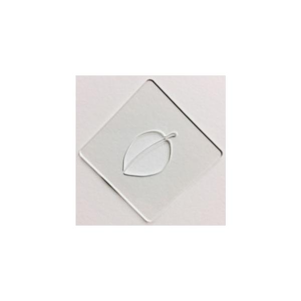 ラテアート用ステンシルシート atta カフェアートステンシル　葉っぱ　LAS-0016