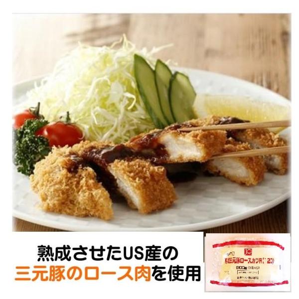 トンカツ 冷凍 熟成 三元豚 ロースカツ 約120g×5枚 豚カツ とんかつ 冷凍 冷凍食品 旨味 ボリューム 衣立ち 日東ベスト
