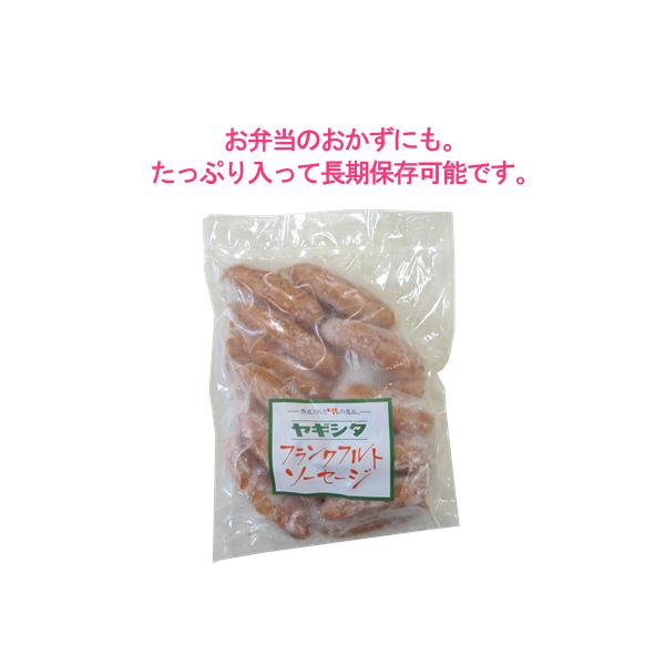 フランク 冷凍 ヤギシタ 荒挽きフランク 500g(1本30g前後　16?17本入) 業務用 冷凍食品 ヤギシタ