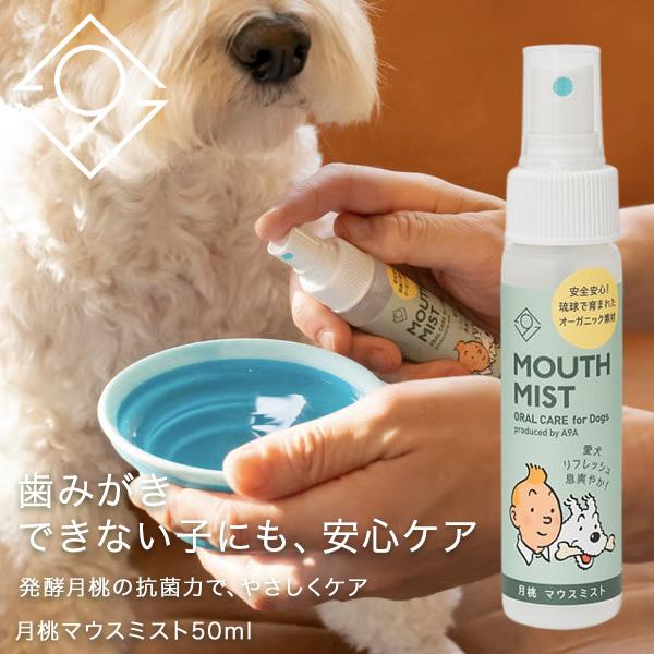 月桃ペットマウスミスト 50ml 無添加 発酵エキス配合 オーガニック 犬用マウススプレー 口臭対策 歯周病菌ケア ペット用オーラルケア 安心成分 A9A