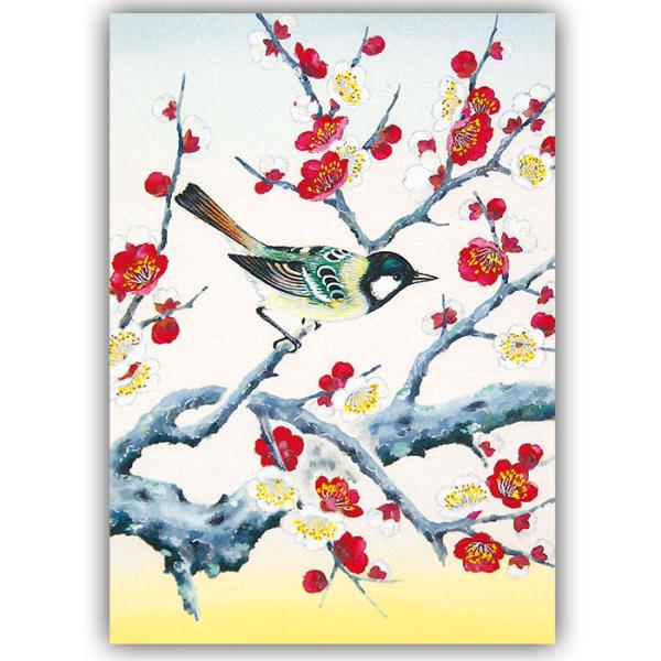 クリスマスカード 和風 【F20-676s-25】梅 鶯 うぐいす 花鳥 グリーティングカード 多目的 メッセージカード 和紙 冬 福井朝日堂