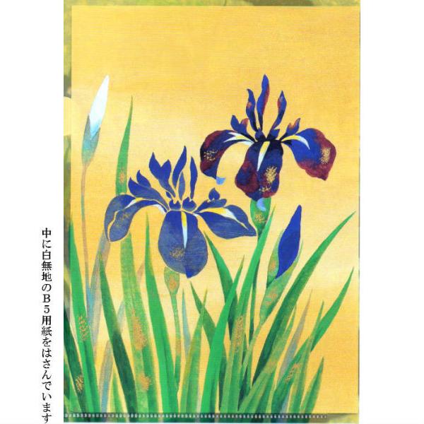 クリアフォルダー クリアファイル A5 サイズ 和風 クリア サイズ 菖蒲(あやめ  しょうぶ)5月 端午 節句 母の日 父の日 絵葉書 グリーティングカード 福井朝日堂