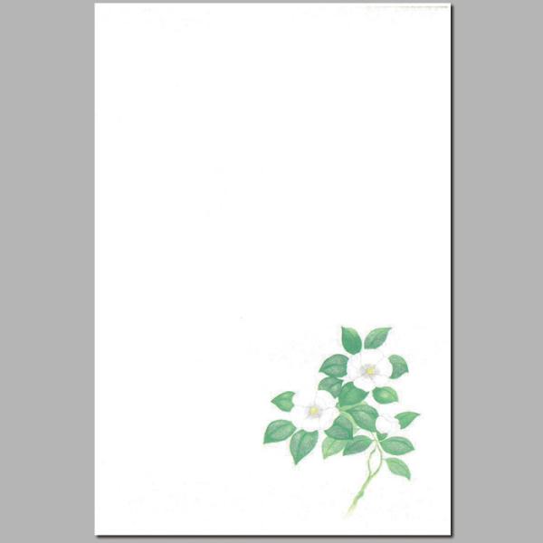 喪中 はがき 寒中見舞い 葉書 年末 年始 ハガキ 和紙 和風 冬 イラスト無料 戒名 年賀状 御礼 挨拶状【FPS-601】白椿(しろつばき)福井朝日堂